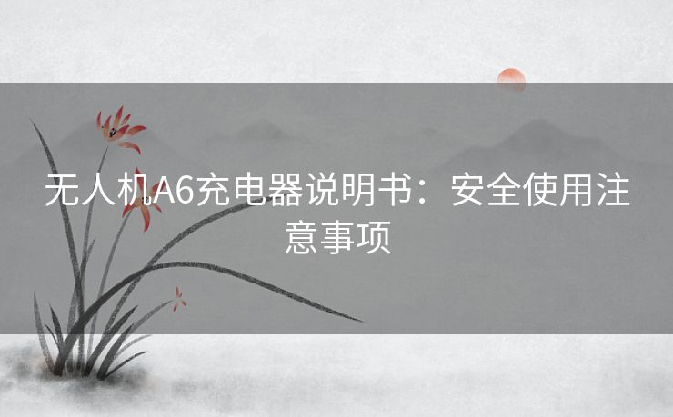 无人机A6充电器说明书：安全使用注意事项