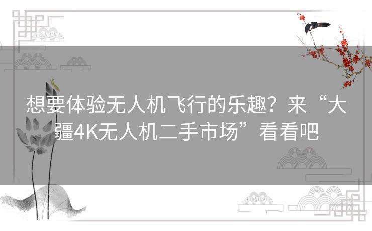 想要体验无人机飞行的乐趣？来“大疆4K无人机二手市场”看看吧