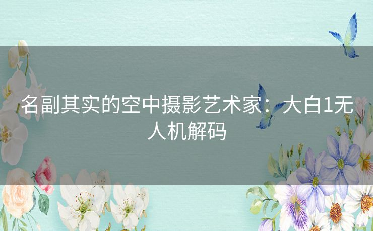 名副其实的空中摄影艺术家：大白1无人机解码