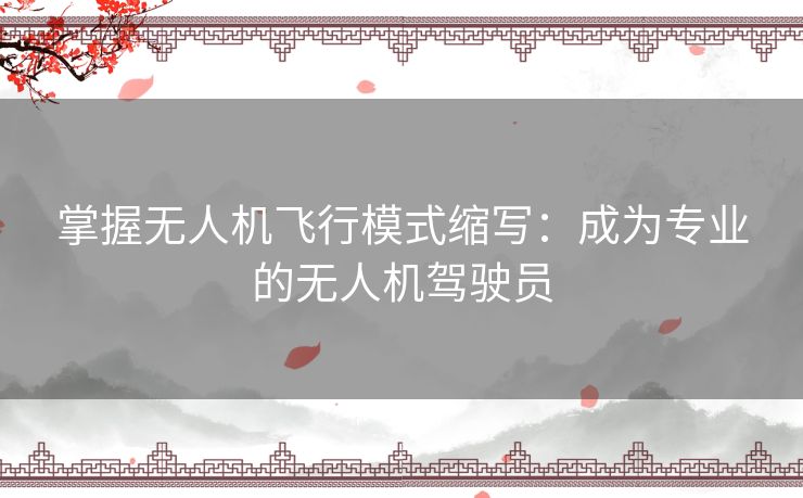 掌握无人机飞行模式缩写：成为专业的无人机驾驶员