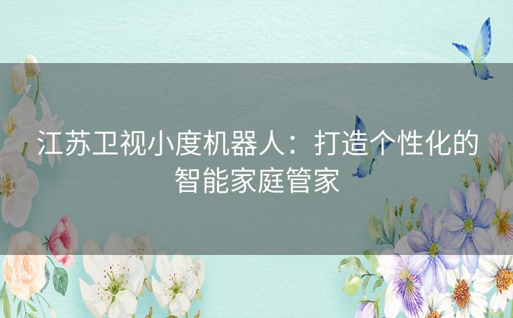 江苏卫视小度机器人：打造个性化的智能家庭管家