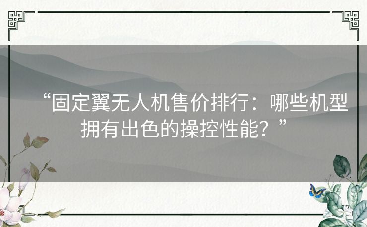 “固定翼无人机售价排行：哪些机型拥有出色的操控性能？”