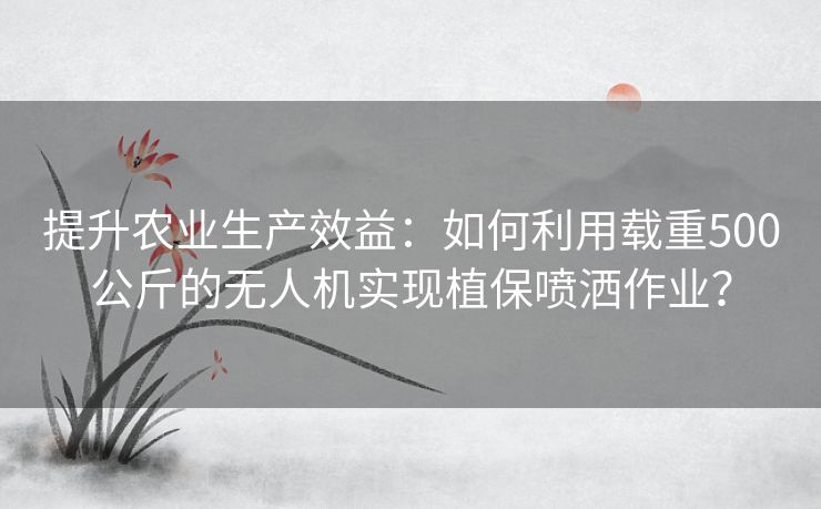 提升农业生产效益：如何利用载重500公斤的无人机实现植保喷洒作业？