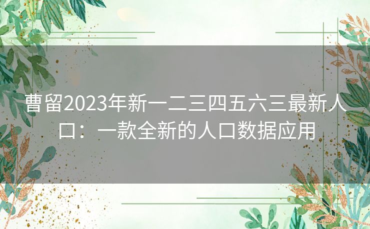 曹留2023年新一二三四五六三最新人口：一款全新的人口数据应用