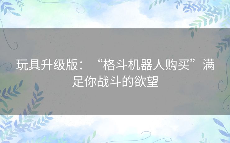 玩具升级版：“格斗机器人购买”满足你战斗的欲望