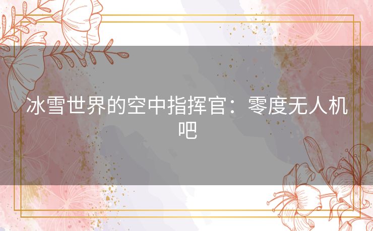冰雪世界的空中指挥官：零度无人机吧