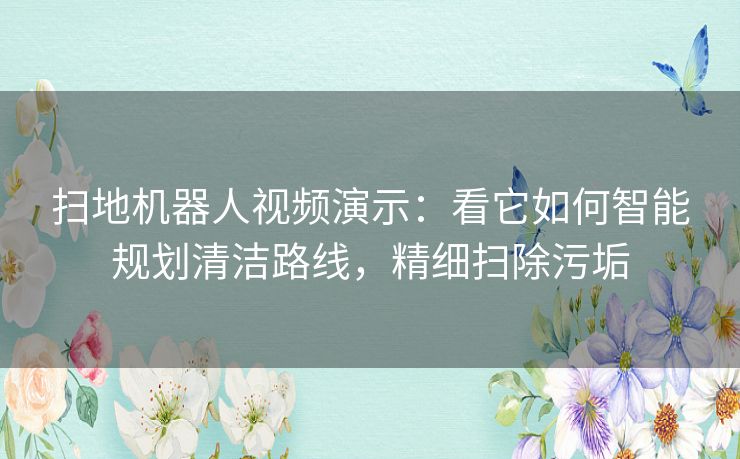 扫地机器人视频演示：看它如何智能规划清洁路线，精细扫除污垢