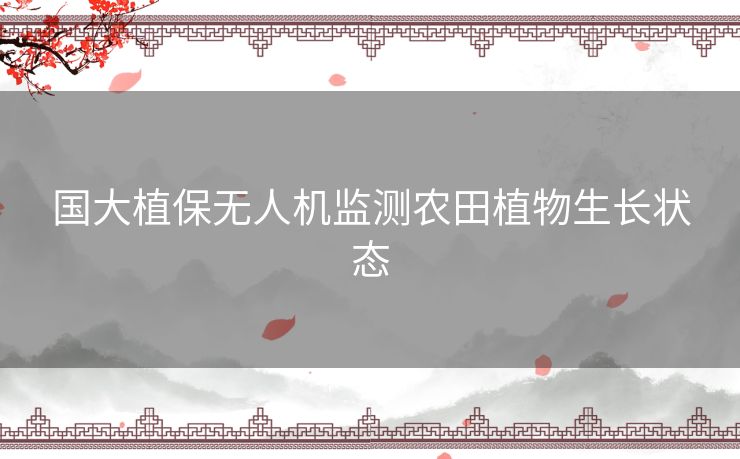 国大植保无人机监测农田植物生长状态