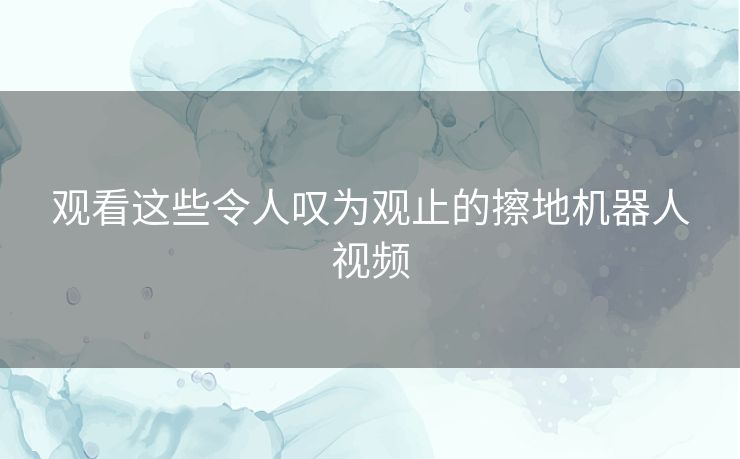 观看这些令人叹为观止的擦地机器人视频