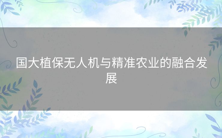 国大植保无人机与精准农业的融合发展