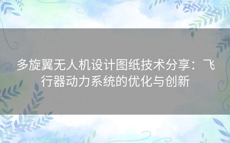 多旋翼无人机设计图纸技术分享：飞行器动力系统的优化与创新