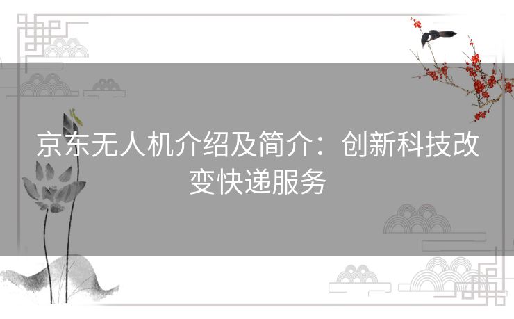 京东无人机介绍及简介：创新科技改变快递服务