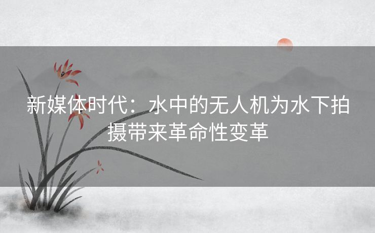 新媒体时代：水中的无人机为水下拍摄带来革命性变革