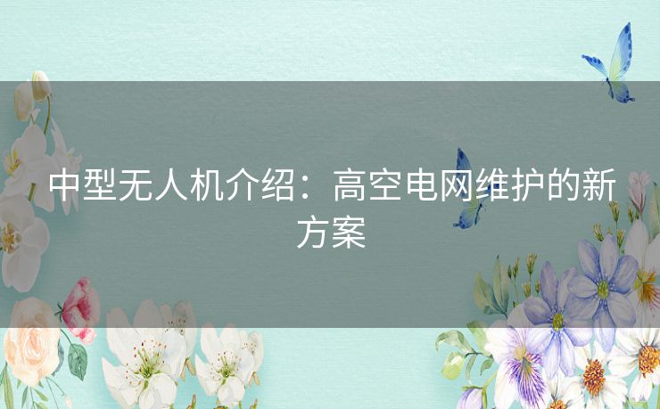 中型无人机介绍：高空电网维护的新方案