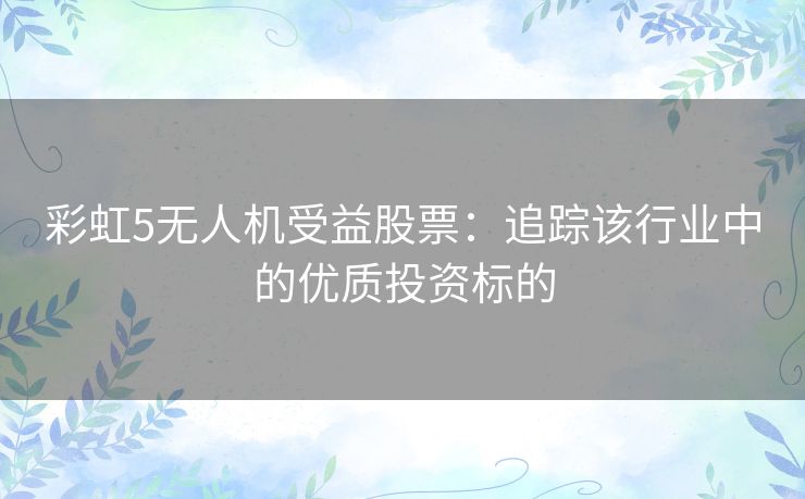 彩虹5无人机受益股票：追踪该行业中的优质投资标的
