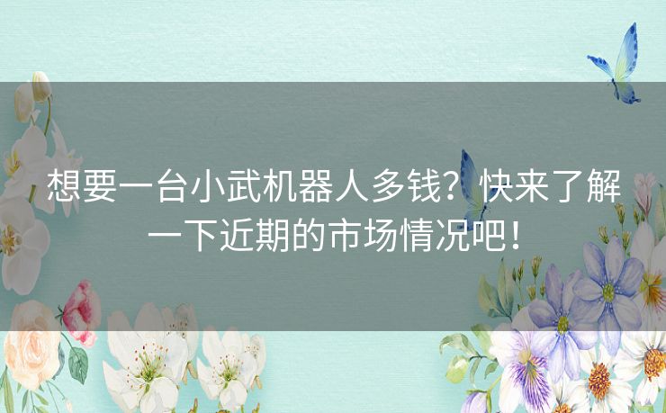 想要一台小武机器人多钱？快来了解一下近期的市场情况吧！