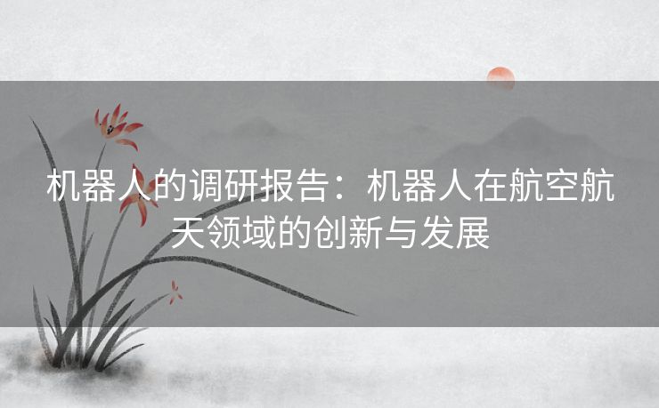 机器人的调研报告：机器人在航空航天领域的创新与发展