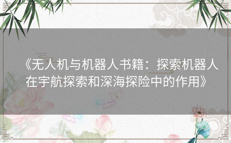 《无人机与机器人书籍：探索机器人在宇航探索和深海探险中的作用》