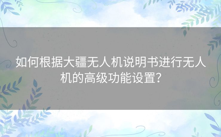 如何根据大疆无人机说明书进行无人机的高级功能设置？