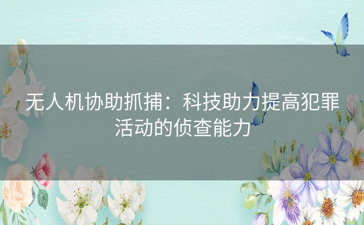 无人机协助抓捕：科技助力提高犯罪活动的侦查能力