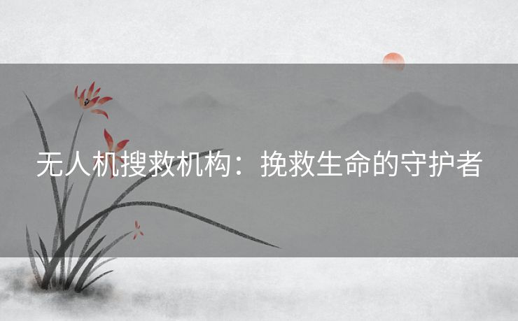 无人机搜救机构：挽救生命的守护者