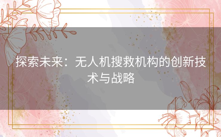 探索未来：无人机搜救机构的创新技术与战略