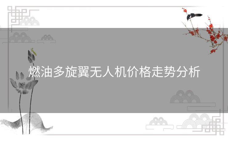 燃油多旋翼无人机价格走势分析