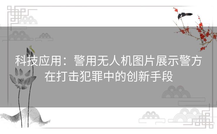 科技应用：警用无人机图片展示警方在打击犯罪中的创新手段