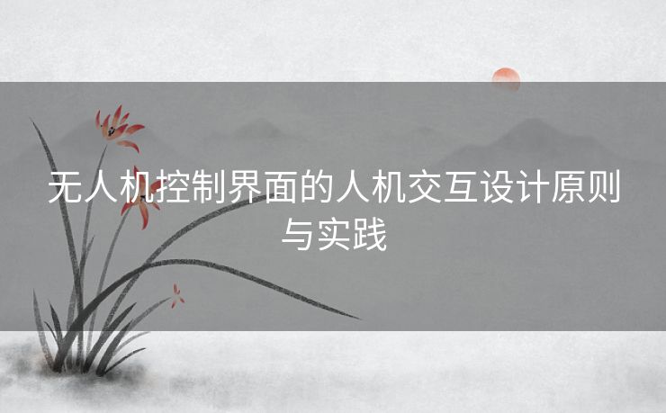无人机控制界面的人机交互设计原则与实践