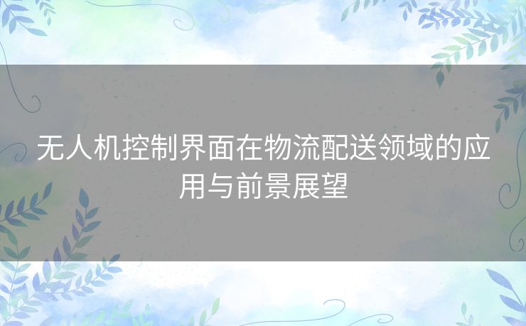 无人机控制界面在物流配送领域的应用与前景展望