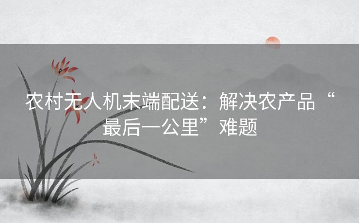 农村无人机末端配送：解决农产品“最后一公里”难题