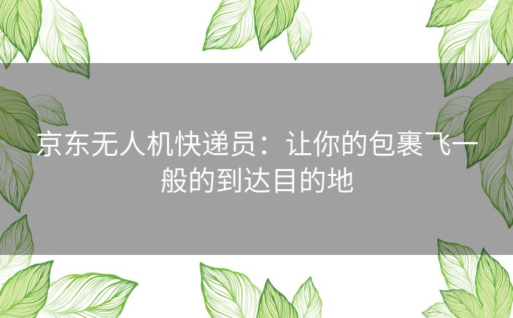 京东无人机快递员：让你的包裹飞一般的到达目的地