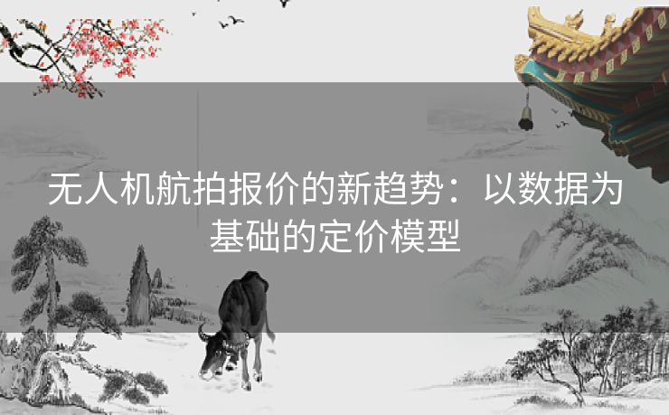 无人机航拍报价的新趋势：以数据为基础的定价模型