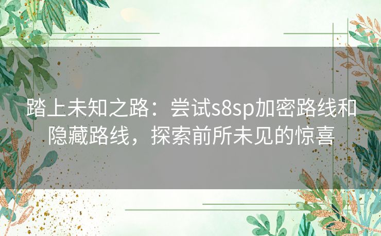 踏上未知之路：尝试s8sp加密路线和隐藏路线，探索前所未见的惊喜
