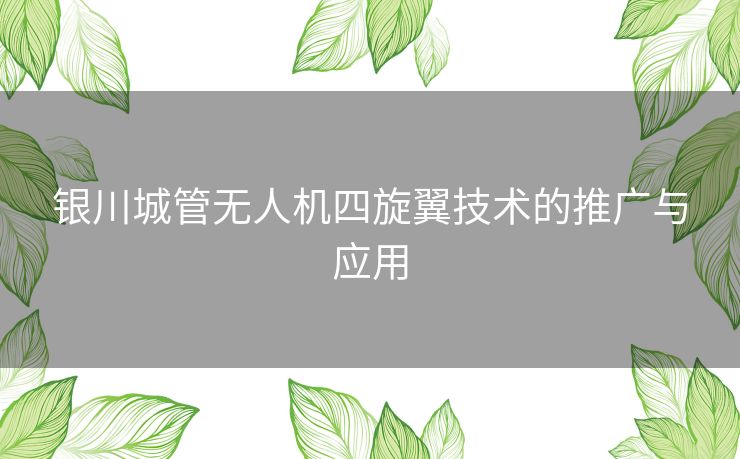 银川城管无人机四旋翼技术的推广与应用