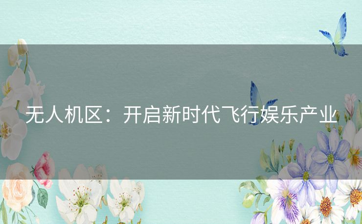 无人机区：开启新时代飞行娱乐产业