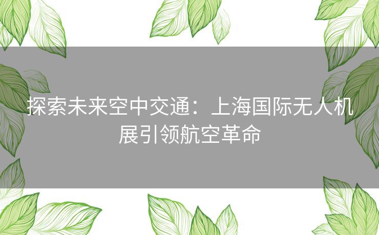 探索未来空中交通：上海国际无人机展引领航空革命