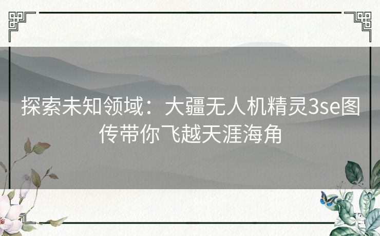 探索未知领域：大疆无人机精灵3se图传带你飞越天涯海角