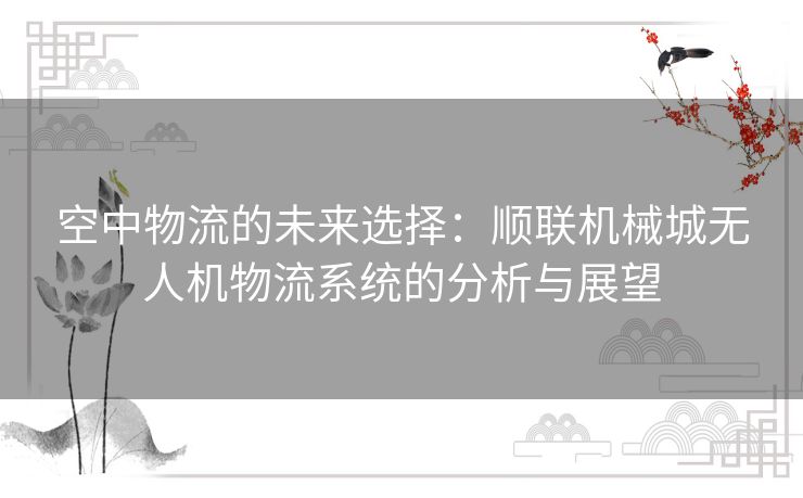 空中物流的未来选择：顺联机械城无人机物流系统的分析与展望