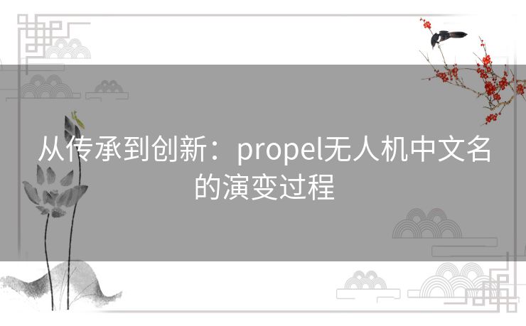 从传承到创新：propel无人机中文名的演变过程