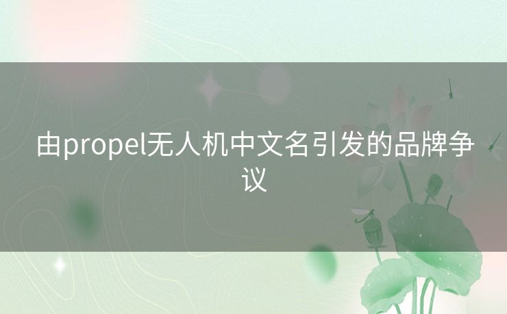 由propel无人机中文名引发的品牌争议