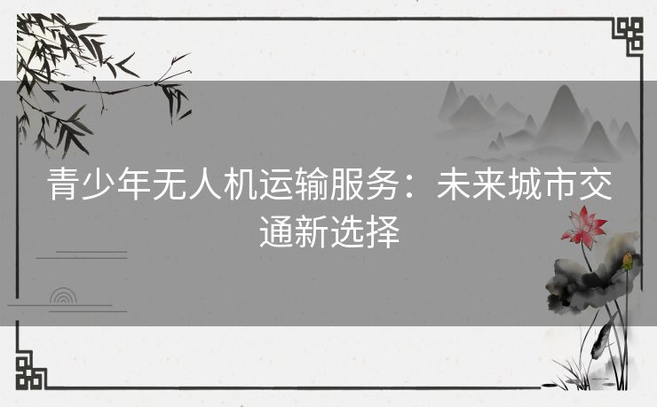 青少年无人机运输服务：未来城市交通新选择