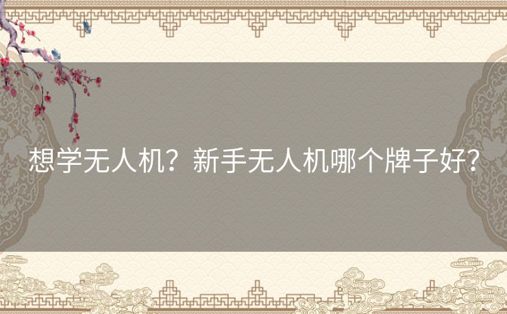 想学无人机？新手无人机哪个牌子好？