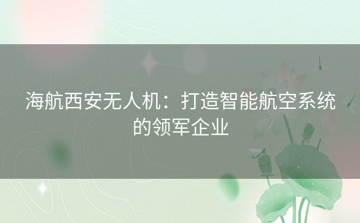 海航西安无人机：打造智能航空系统的领军企业