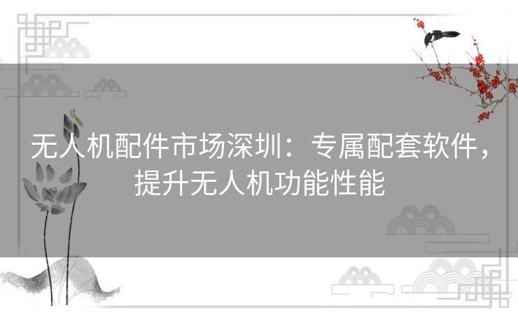 无人机配件市场深圳：专属配套软件，提升无人机功能性能
