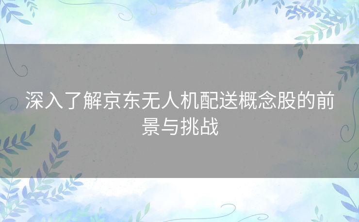 深入了解京东无人机配送概念股的前景与挑战