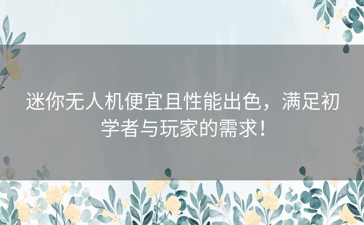 迷你无人机便宜且性能出色，满足初学者与玩家的需求！