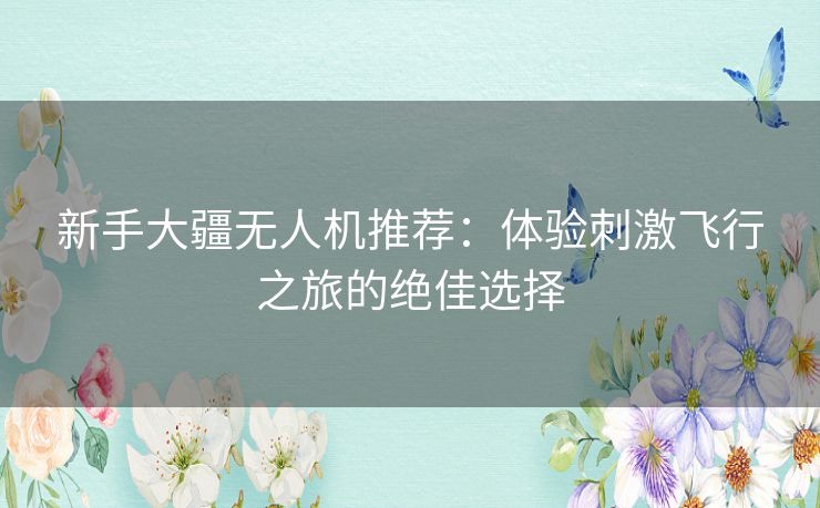 新手大疆无人机推荐：体验刺激飞行之旅的绝佳选择