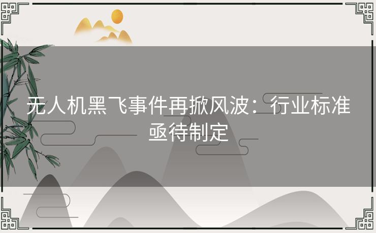 无人机黑飞事件再掀风波：行业标准亟待制定
