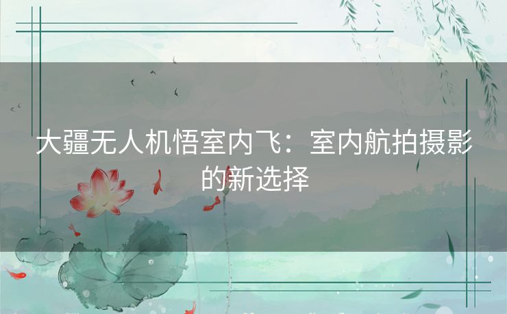 大疆无人机悟室内飞：室内航拍摄影的新选择